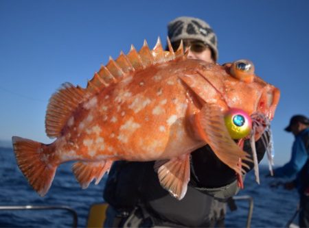 渡船屋たにぐち 釣果