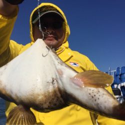 敷嶋丸 釣果