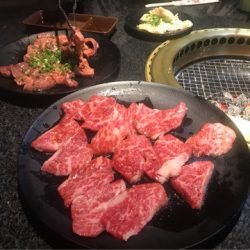 FEEDLOT 釣果