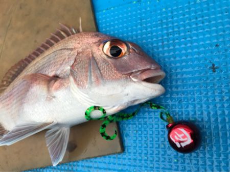 太平丸 釣果