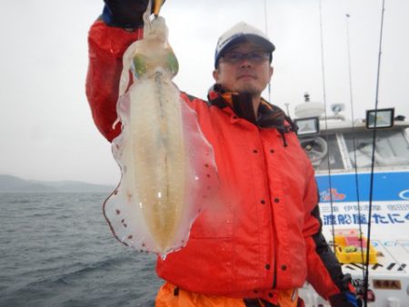 渡船屋たにぐち 釣果