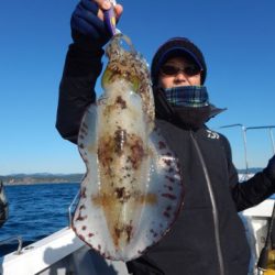 渡船屋たにぐち 釣果