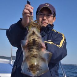 渡船屋たにぐち 釣果