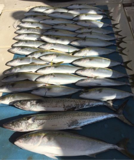 大雄丸 釣果