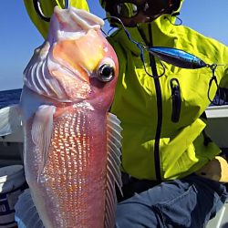 光生丸 釣果