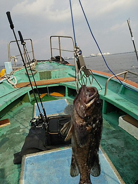 KO-SHIN丸 釣果