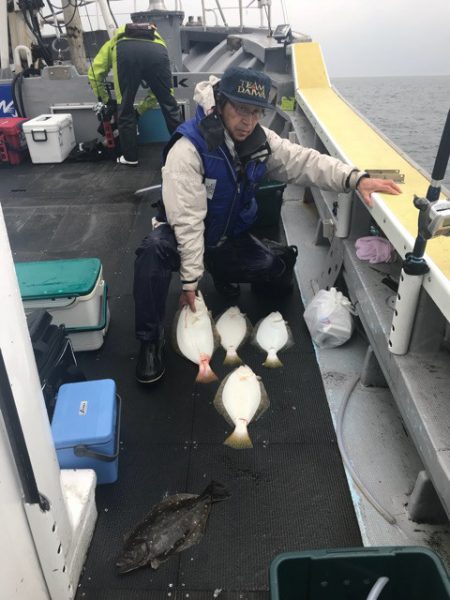 シーランチ 釣果