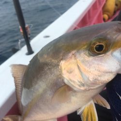 山正丸 釣果