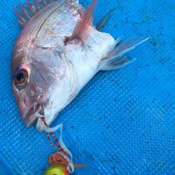 太平丸 釣果