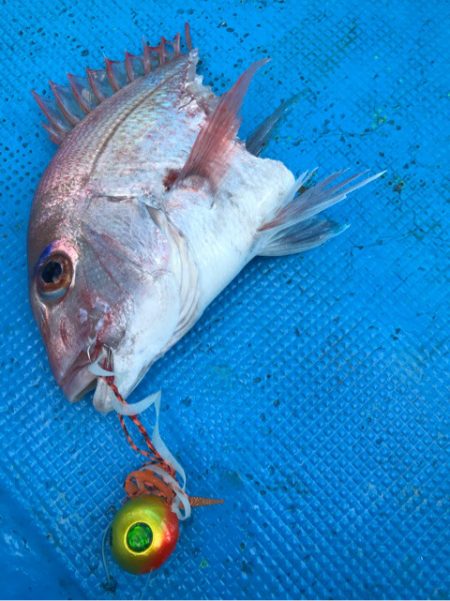 太平丸 釣果