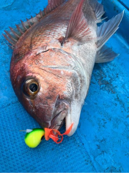 太平丸 釣果