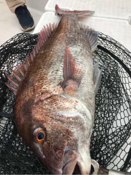 龍神丸（鹿児島） 釣果