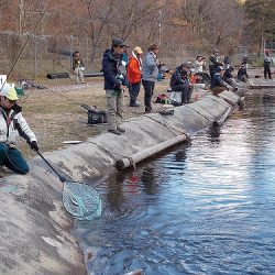 平谷湖フィッシングスポット 釣果