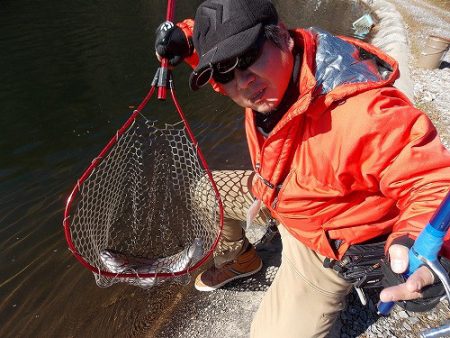 平谷湖フィッシングスポット 釣果