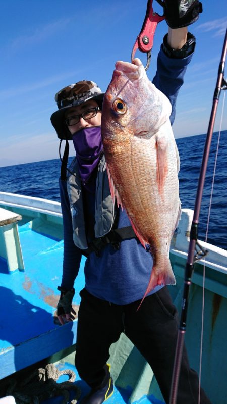 だて丸 釣果