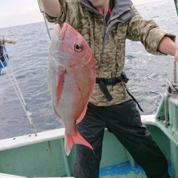 だて丸 釣果