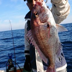 だて丸 釣果