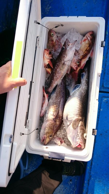 海龍丸（石川） 釣果