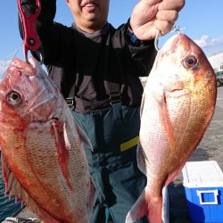 だて丸 釣果