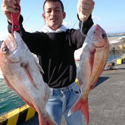 だて丸 釣果