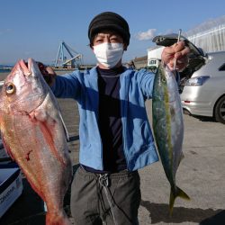 だて丸 釣果