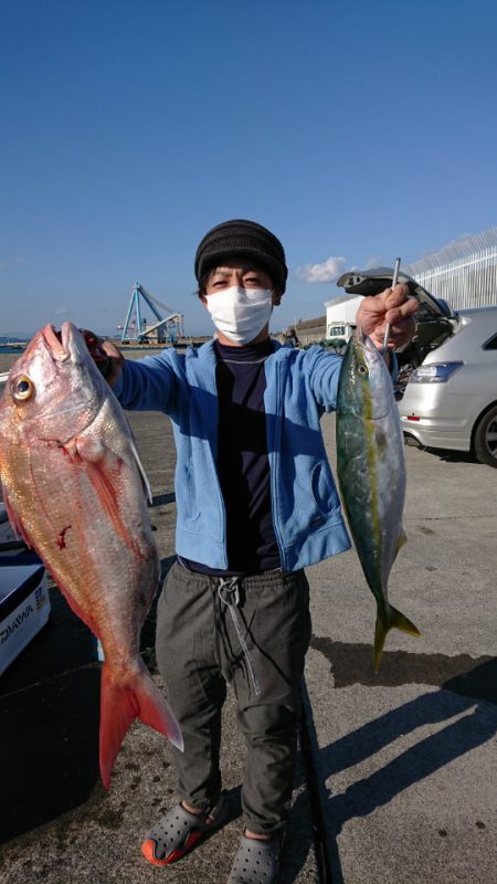 だて丸 釣果