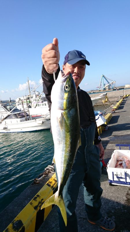 だて丸 釣果