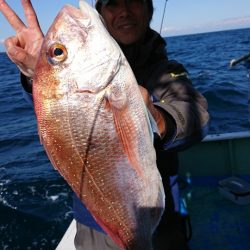 だて丸 釣果