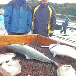 海の釣堀 海恵 釣果