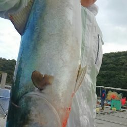 海の釣堀 海恵 釣果