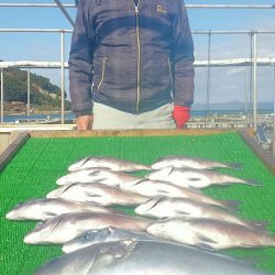 海の釣堀 海恵 釣果