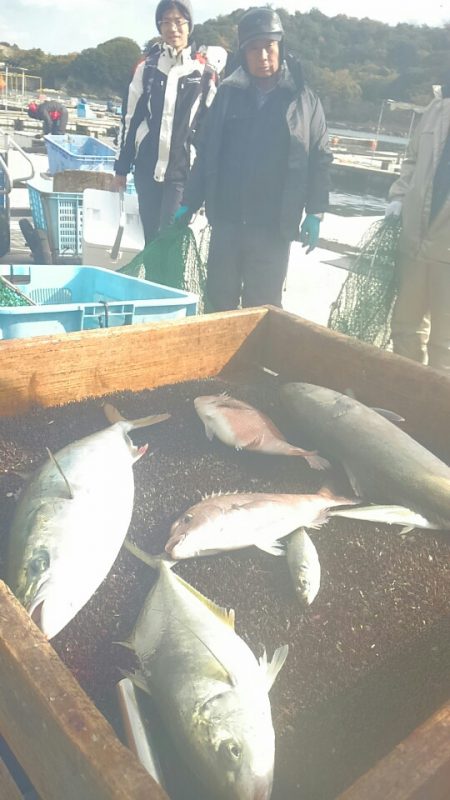 海の釣堀 海恵 釣果