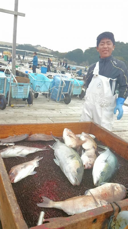 海の釣堀 海恵 釣果