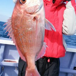 新幸丸 釣果