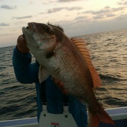 新幸丸 釣果