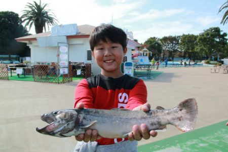 としまえんフィッシングエリア 釣果