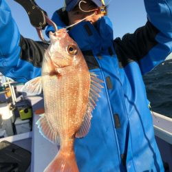 新幸丸 釣果