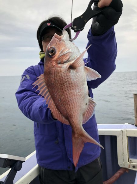 新幸丸 釣果