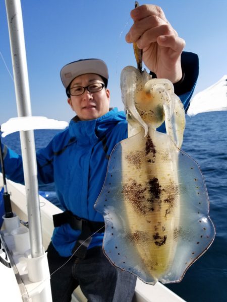 ソルトウォーターガイドフレンズ 釣果