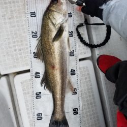 海龍丸（島根） 釣果