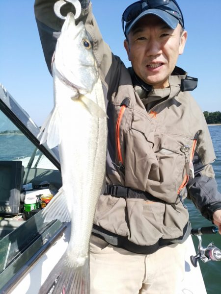 bay style 釣果