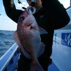 新幸丸 釣果