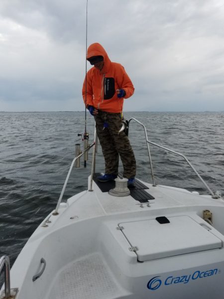 海龍丸（島根） 釣果