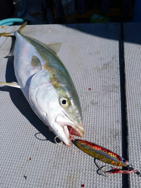 ありもと丸 釣果