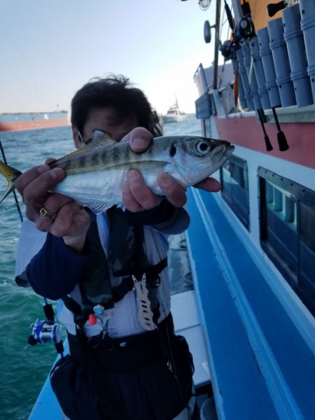 みやけ丸 釣果