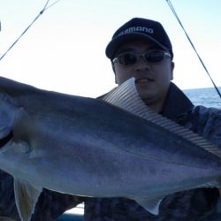 阿波哲 釣果