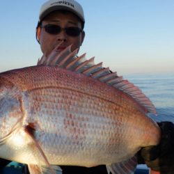 阿波哲 釣果