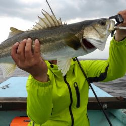 アマテラス 釣果