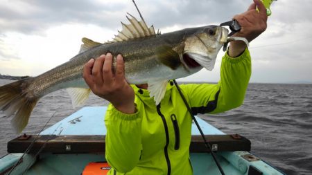 アマテラス 釣果