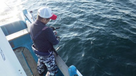 阿波哲 釣果